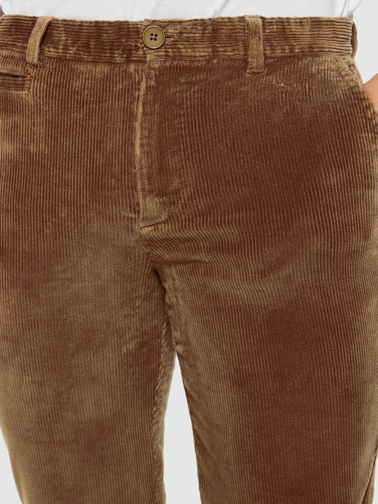 Buy CHUCK regular 8-wales corduroy chino pants - Dachshund - from  KnowledgeCotton Apparel®