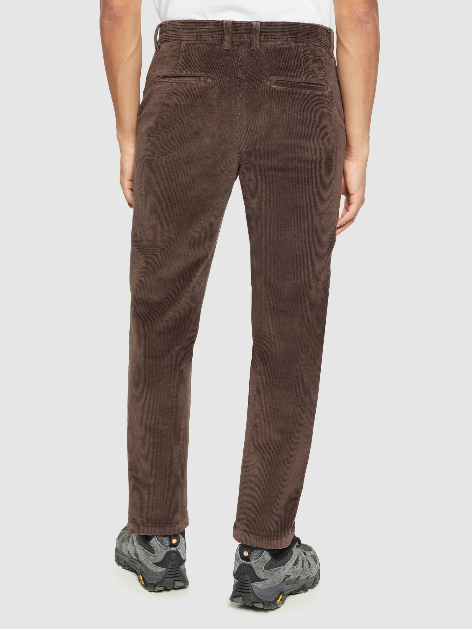Buy CHUCK regular 8-wales corduroy chino pants - Demitasse (brown) - from  KnowledgeCotton Apparel®